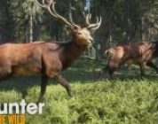THEHUNTER: CALL OF THE WILD (PS4)
