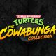 Teenage Mutant Ninja Turtles: The Cowabunga Collection – 13 klasszikus egy csomagban